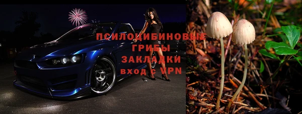 прущие крисы Гусь-Хрустальный