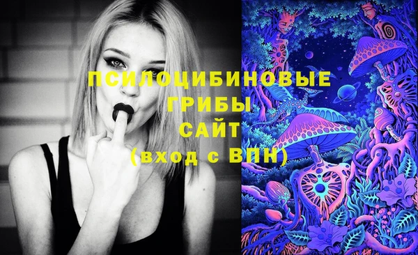 гашишное масло Гусев