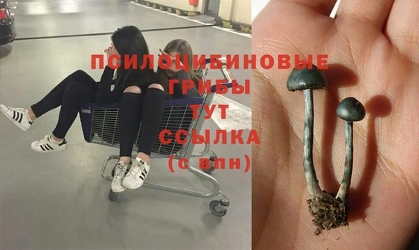 гашишное масло Гусев