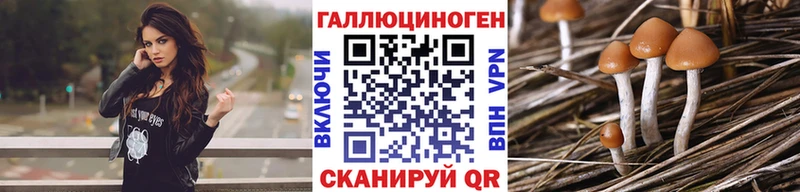 Галлюциногенные грибы мицелий  Купить  Клин 